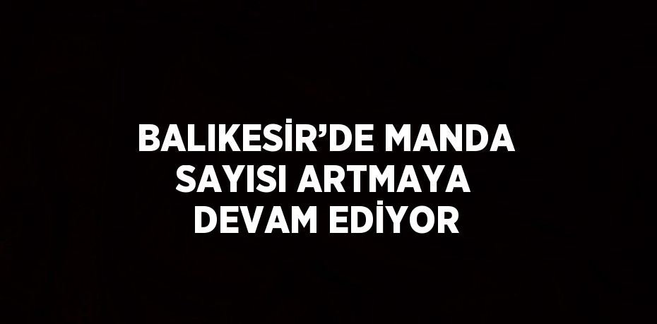 BALIKESİR’DE MANDA SAYISI ARTMAYA DEVAM EDİYOR