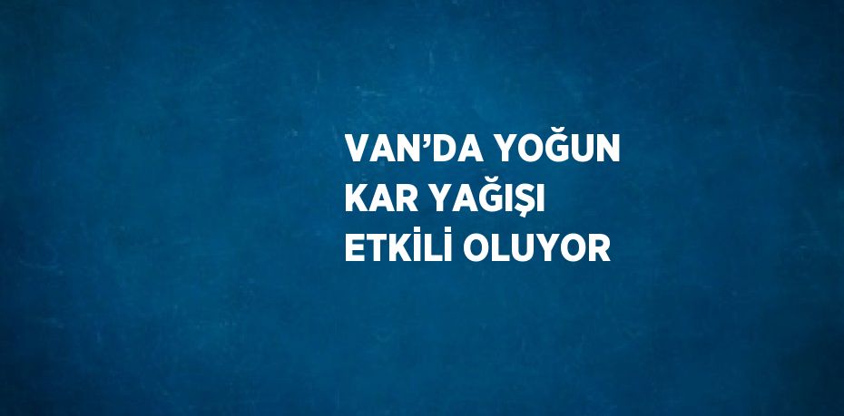 VAN’DA YOĞUN KAR YAĞIŞI ETKİLİ OLUYOR