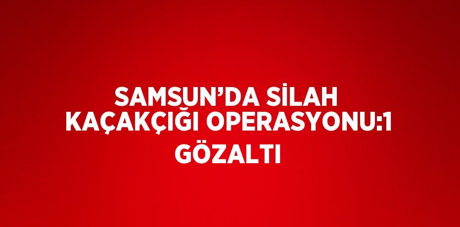 SAMSUN’DA SİLAH KAÇAKÇIĞI OPERASYONU:1 GÖZALTI