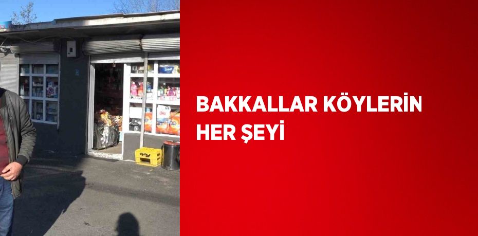 BAKKALLAR KÖYLERİN HER ŞEYİ