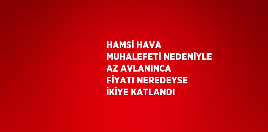 HAMSİ HAVA MUHALEFETİ NEDENİYLE AZ AVLANINCA FİYATI NEREDEYSE İKİYE KATLANDI