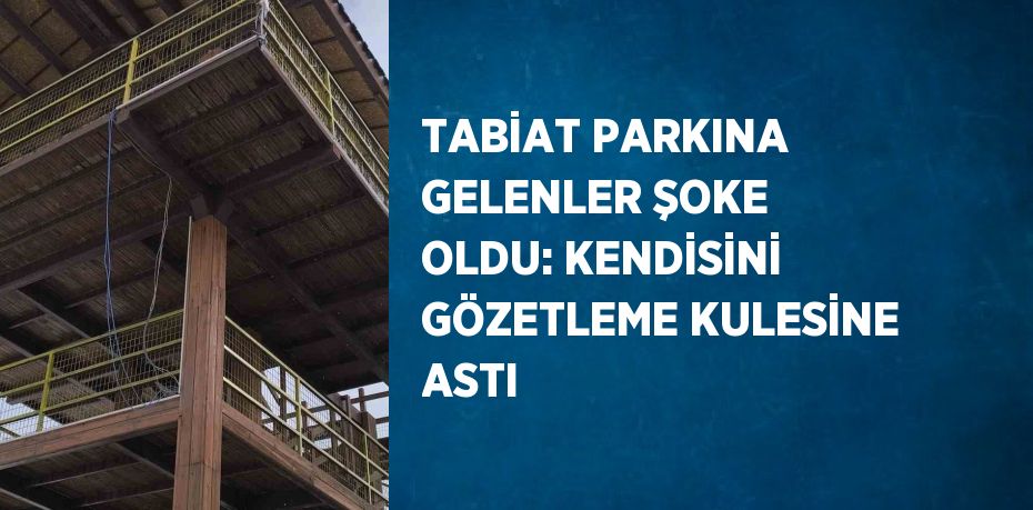 TABİAT PARKINA GELENLER ŞOKE OLDU: KENDİSİNİ GÖZETLEME KULESİNE ASTI