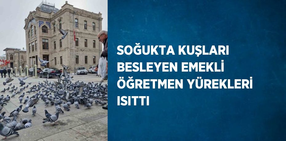 SOĞUKTA KUŞLARI BESLEYEN EMEKLİ ÖĞRETMEN YÜREKLERİ ISITTI