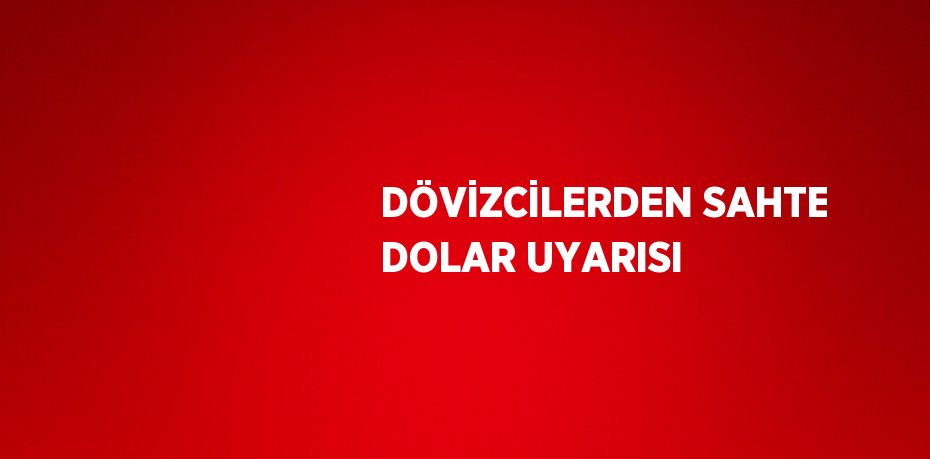 DÖVİZCİLERDEN SAHTE DOLAR UYARISI