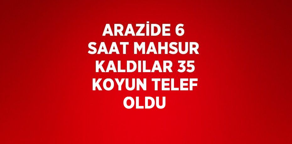 ARAZİDE 6 SAAT MAHSUR KALDILAR 35 KOYUN TELEF OLDU