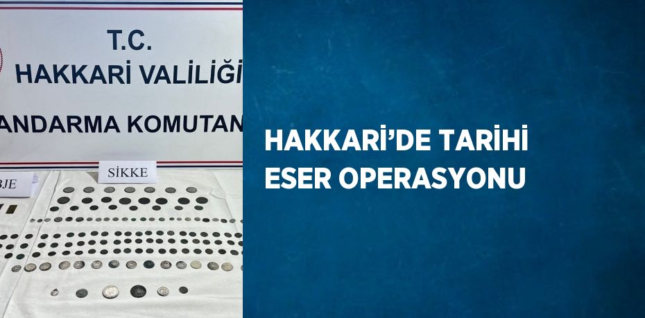 HAKKARİ’DE TARİHİ ESER OPERASYONU