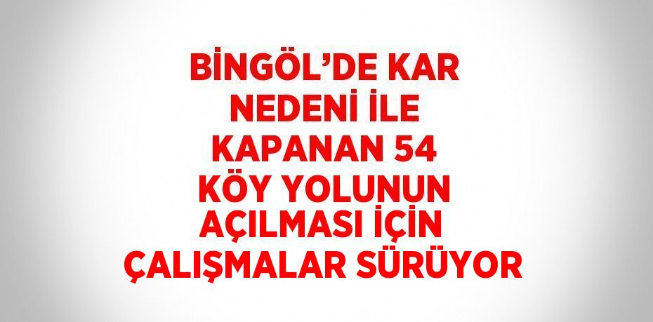 BİNGÖL’DE KAR NEDENİ İLE KAPANAN 54 KÖY YOLUNUN AÇILMASI İÇİN ÇALIŞMALAR SÜRÜYOR