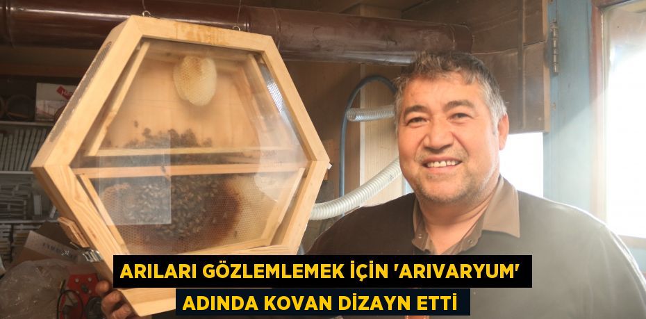 Arıları gözlemlemek için ‘Arıvaryum’ adında kovan dizayn etti