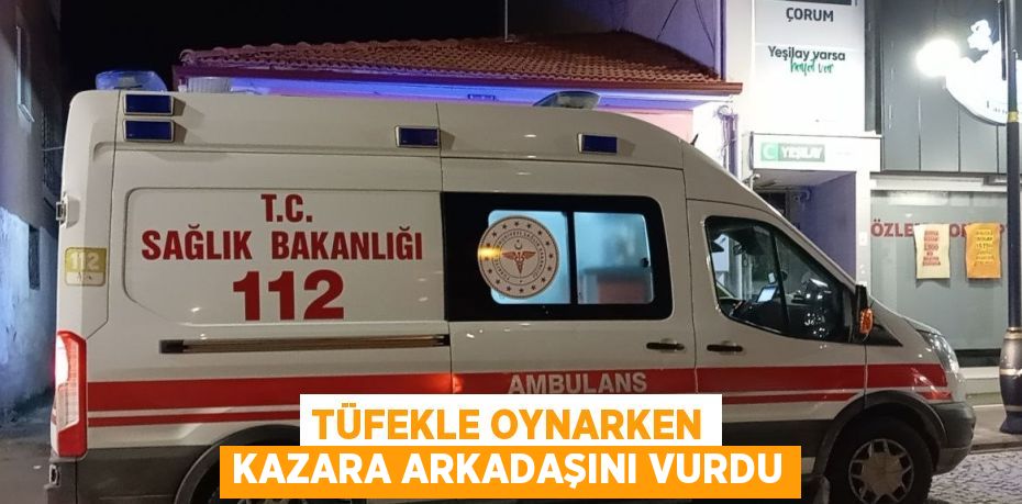 TÜFEKLE OYNARKEN KAZARA ARKADAŞINI VURDU