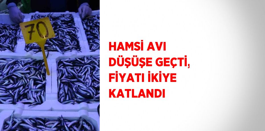 HAMSİ AVI DÜŞÜŞE GEÇTİ, FİYATI İKİYE KATLANDI