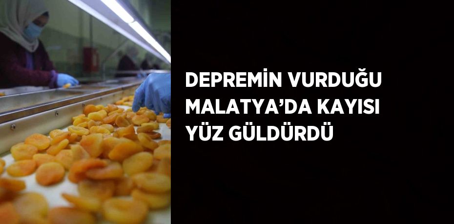 DEPREMİN VURDUĞU MALATYA’DA KAYISI YÜZ GÜLDÜRDÜ