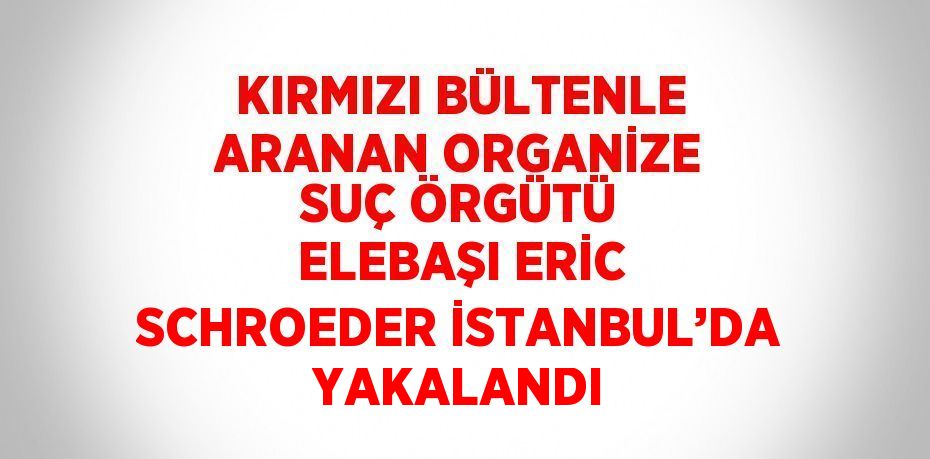 KIRMIZI BÜLTENLE ARANAN ORGANİZE SUÇ ÖRGÜTÜ ELEBAŞI ERİC SCHROEDER İSTANBUL’DA YAKALANDI