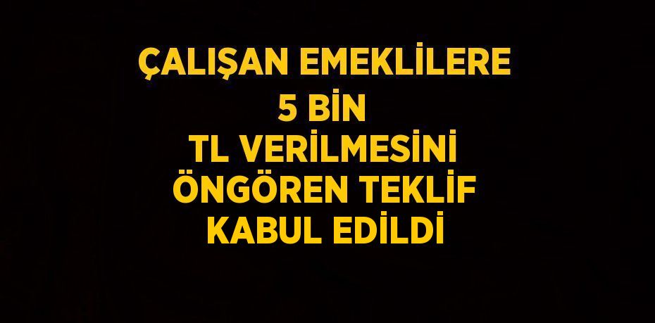 ÇALIŞAN EMEKLİLERE 5 BİN TL VERİLMESİNİ ÖNGÖREN TEKLİF KABUL EDİLDİ