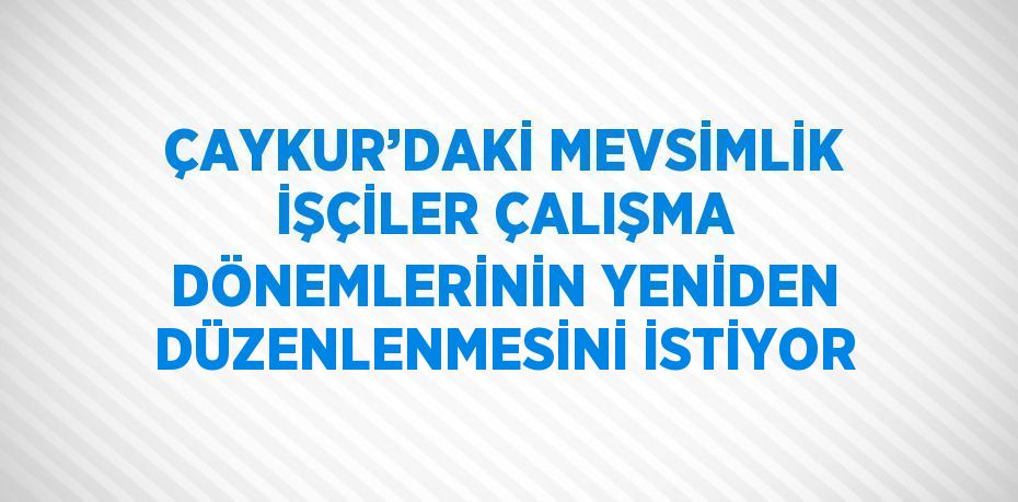 ÇAYKUR’DAKİ MEVSİMLİK İŞÇİLER ÇALIŞMA DÖNEMLERİNİN YENİDEN DÜZENLENMESİNİ İSTİYOR