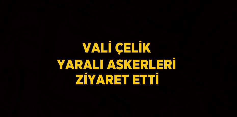 VALİ ÇELİK YARALI ASKERLERİ ZİYARET ETTİ