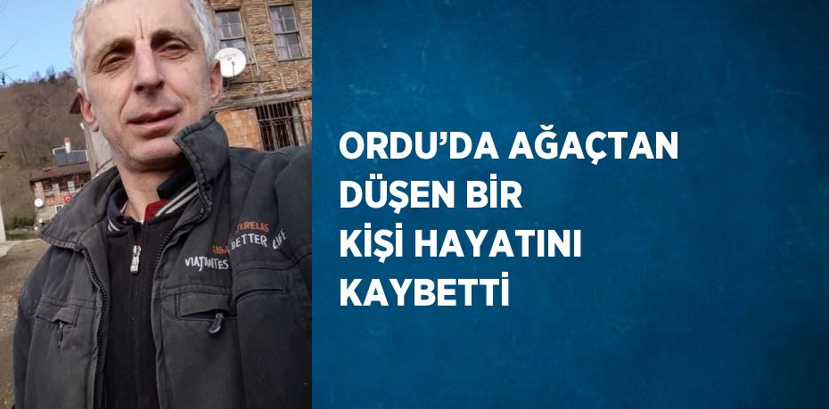 ORDU’DA AĞAÇTAN DÜŞEN BİR KİŞİ HAYATINI KAYBETTİ