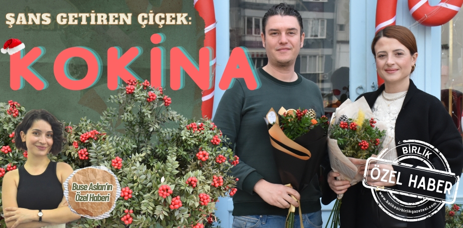 Şans getiren çiçek:  KOKİNA