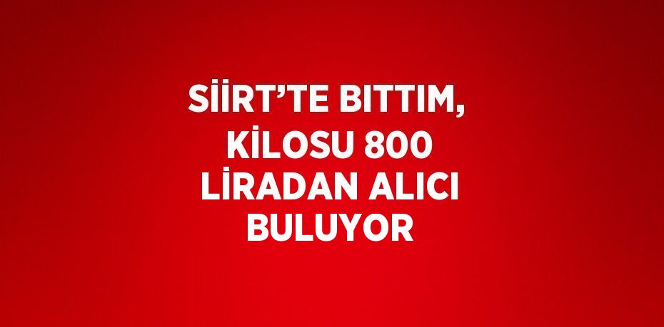 SİİRT’TE BITTIM, KİLOSU 800 LİRADAN ALICI BULUYOR