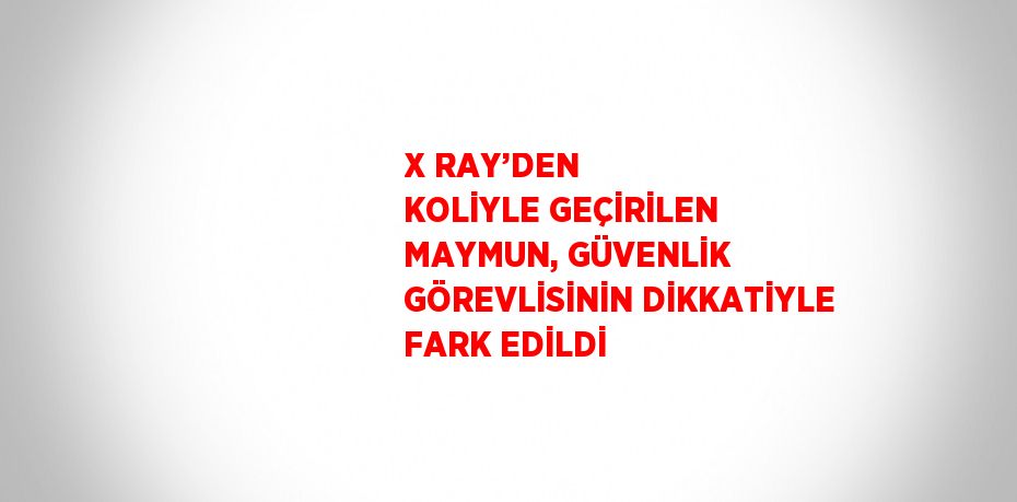 X RAY’DEN KOLİYLE GEÇİRİLEN MAYMUN, GÜVENLİK GÖREVLİSİNİN DİKKATİYLE FARK EDİLDİ