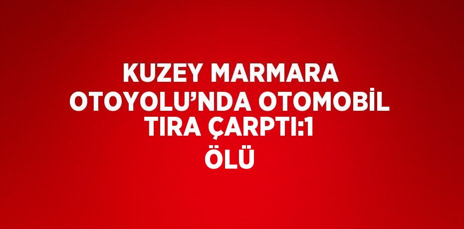 KUZEY MARMARA OTOYOLU’NDA OTOMOBİL TIRA ÇARPTI:1 ÖLÜ