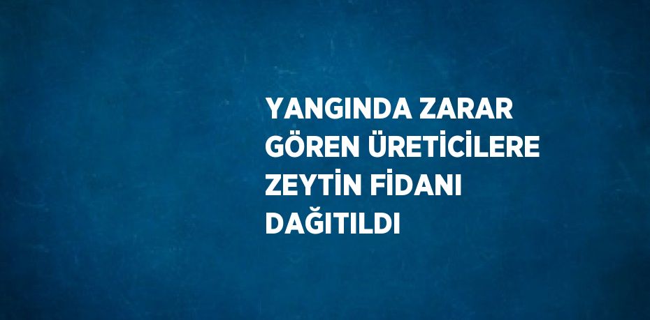 YANGINDA ZARAR GÖREN ÜRETİCİLERE ZEYTİN FİDANI DAĞITILDI