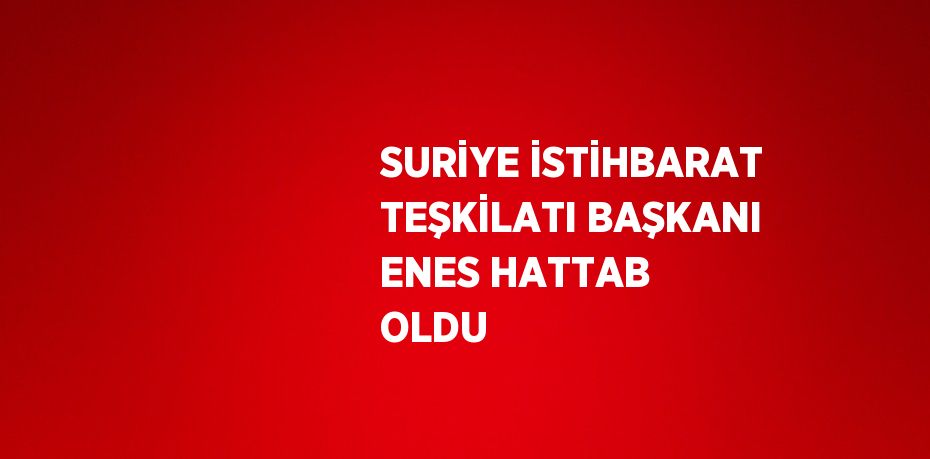 SURİYE İSTİHBARAT TEŞKİLATI BAŞKANI ENES HATTAB OLDU