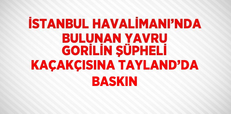 İSTANBUL HAVALİMANI’NDA BULUNAN YAVRU GORİLİN ŞÜPHELİ KAÇAKÇISINA TAYLAND’DA BASKIN