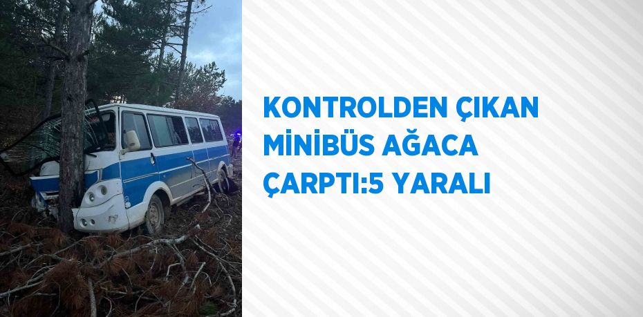 KONTROLDEN ÇIKAN MİNİBÜS AĞACA ÇARPTI:5 YARALI