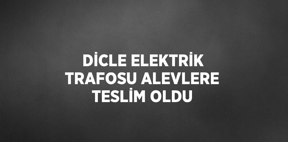 DİCLE ELEKTRİK TRAFOSU ALEVLERE TESLİM OLDU