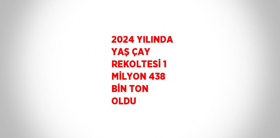 2024 YILINDA YAŞ ÇAY REKOLTESİ 1 MİLYON 438 BİN TON OLDU