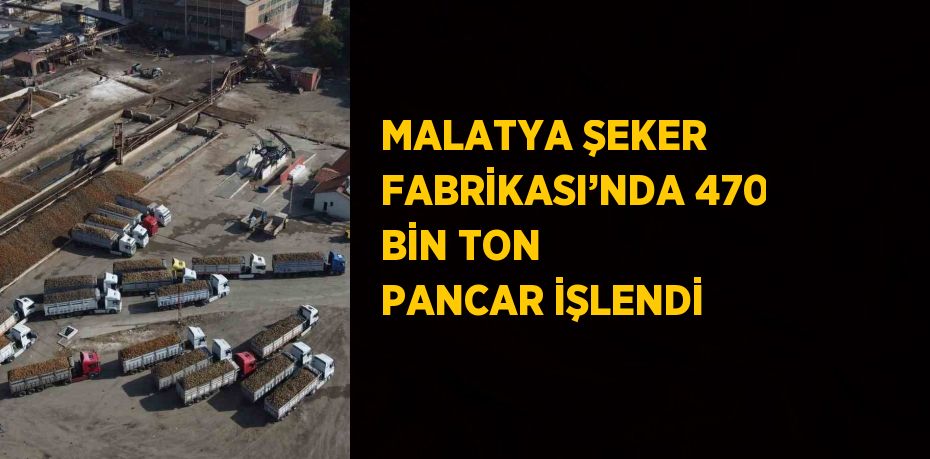 MALATYA ŞEKER FABRİKASI’NDA 470 BİN TON PANCAR İŞLENDİ