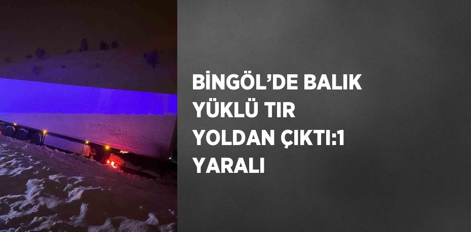 BİNGÖL’DE BALIK YÜKLÜ TIR YOLDAN ÇIKTI:1 YARALI