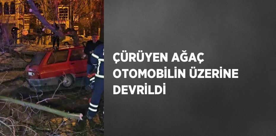 ÇÜRÜYEN AĞAÇ OTOMOBİLİN ÜZERİNE DEVRİLDİ