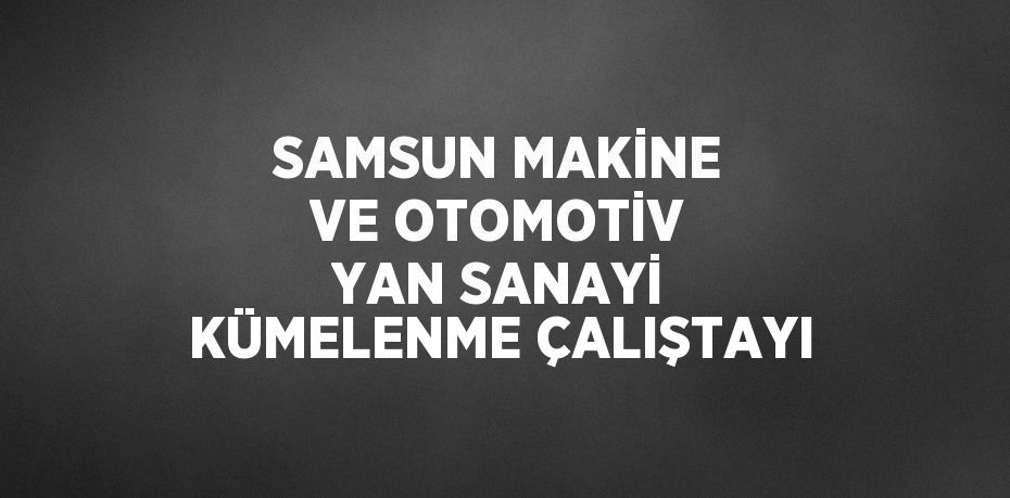 SAMSUN MAKİNE VE OTOMOTİV YAN SANAYİ KÜMELENME ÇALIŞTAYI