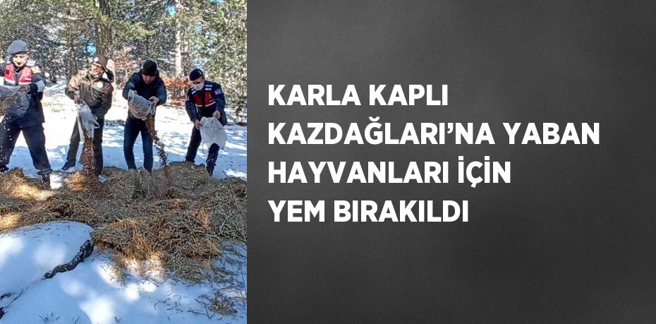 KARLA KAPLI KAZDAĞLARI’NA YABAN HAYVANLARI İÇİN YEM BIRAKILDI