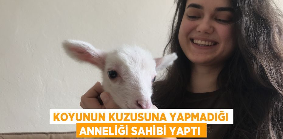 Koyunun kuzusuna yapmadığı anneliği sahibi yaptı