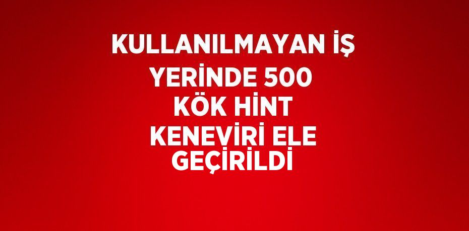 KULLANILMAYAN İŞ YERİNDE 500 KÖK HİNT KENEVİRİ ELE GEÇİRİLDİ