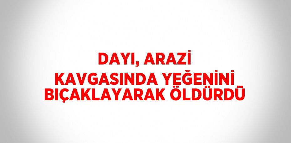 DAYI, ARAZİ KAVGASINDA YEĞENİNİ BIÇAKLAYARAK ÖLDÜRDÜ