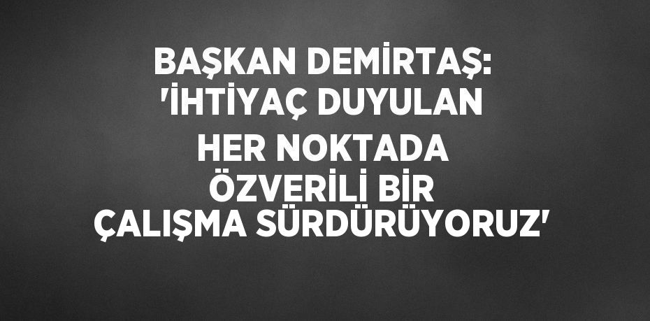 BAŞKAN DEMİRTAŞ: 'İHTİYAÇ DUYULAN HER NOKTADA ÖZVERİLİ BİR ÇALIŞMA SÜRDÜRÜYORUZ'