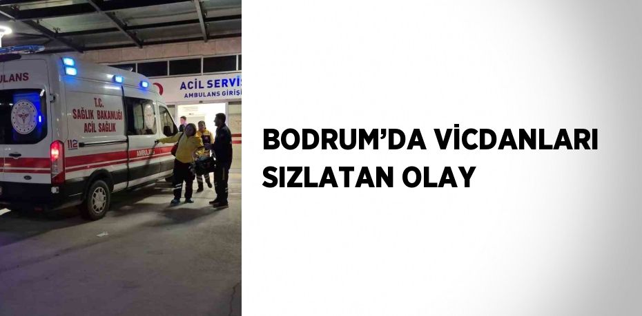 BODRUM’DA VİCDANLARI SIZLATAN OLAY