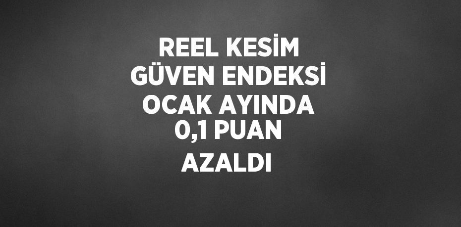 REEL KESİM GÜVEN ENDEKSİ OCAK AYINDA 0,1 PUAN AZALDI