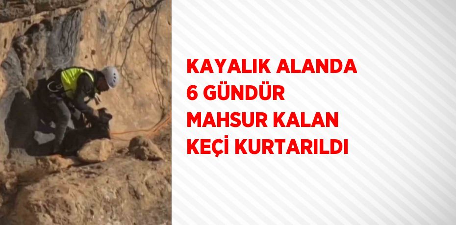 KAYALIK ALANDA 6 GÜNDÜR MAHSUR KALAN KEÇİ KURTARILDI