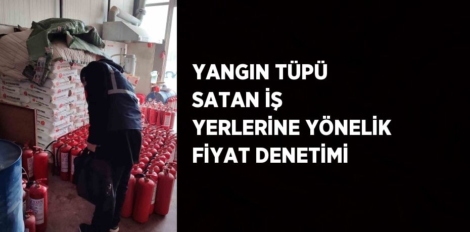 YANGIN TÜPÜ SATAN İŞ YERLERİNE YÖNELİK FİYAT DENETİMİ