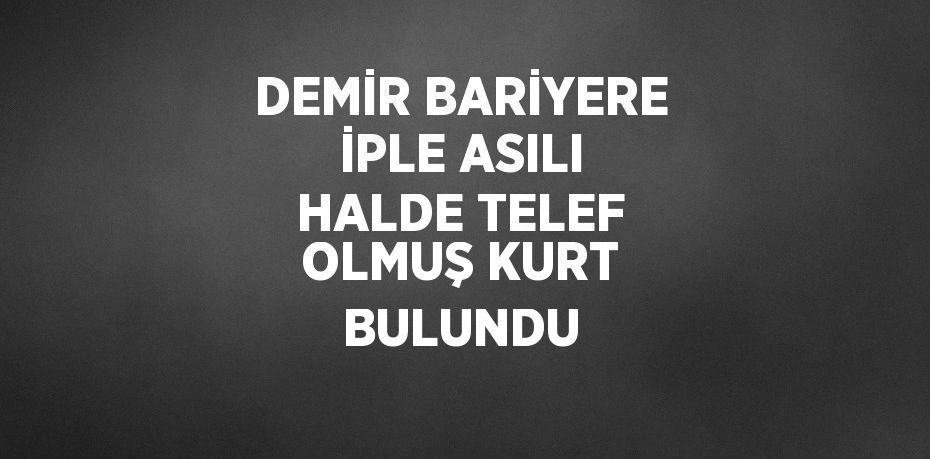 DEMİR BARİYERE İPLE ASILI HALDE TELEF OLMUŞ KURT BULUNDU