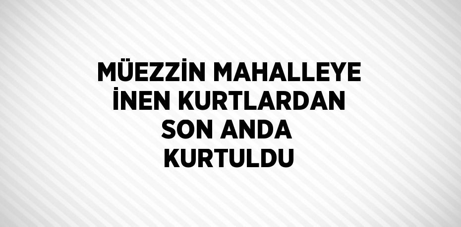 MÜEZZİN MAHALLEYE İNEN KURTLARDAN SON ANDA KURTULDU