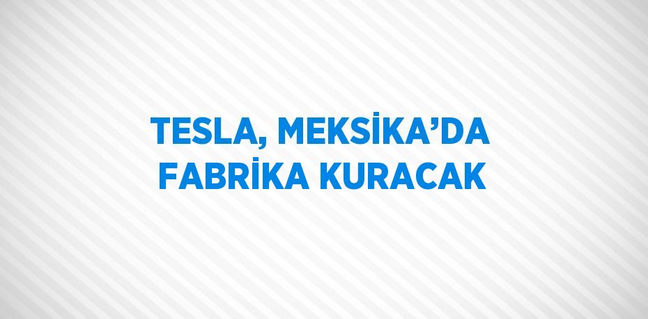 TESLA, MEKSİKA’DA FABRİKA KURACAK