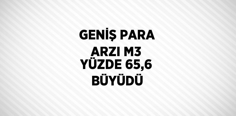 GENİŞ PARA ARZI M3 YÜZDE 65,6 BÜYÜDÜ