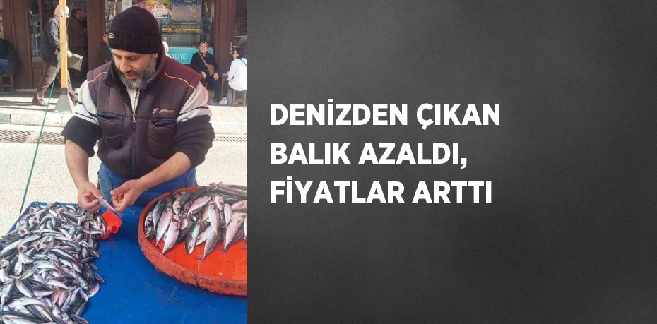 DENİZDEN ÇIKAN BALIK AZALDI, FİYATLAR ARTTI