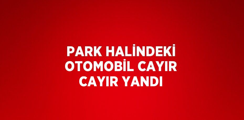 PARK HALİNDEKİ OTOMOBİL CAYIR CAYIR YANDI