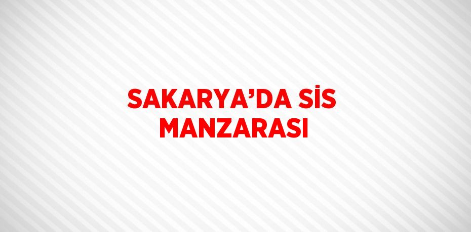 SAKARYA’DA SİS MANZARASI